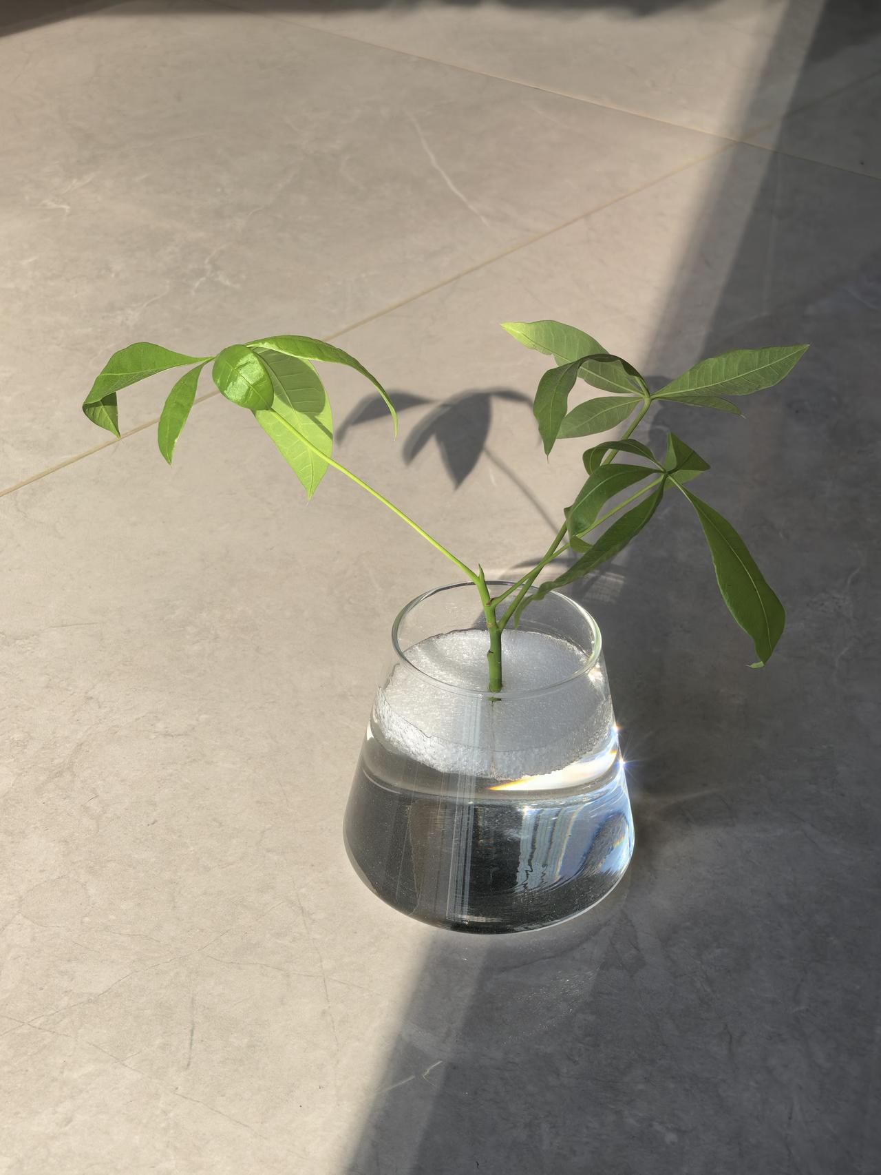 广州，11月9日
晴，20-28℃。
短袖短裤。