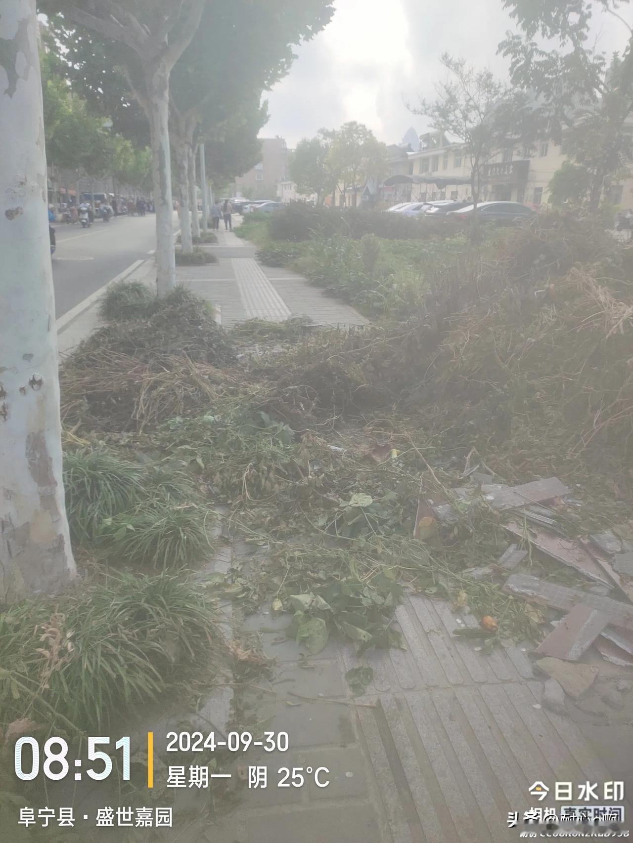 天天搞卫生，这地方垃圾堆个把月了，咋就没人清理呢？每天路过这里一股难闻的闻到，真