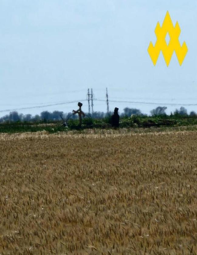 新卡霍夫卡大坝爆炸后，下游一片泽国，有说法认为乌军在赫尔松的进攻将暂停一个阶段，