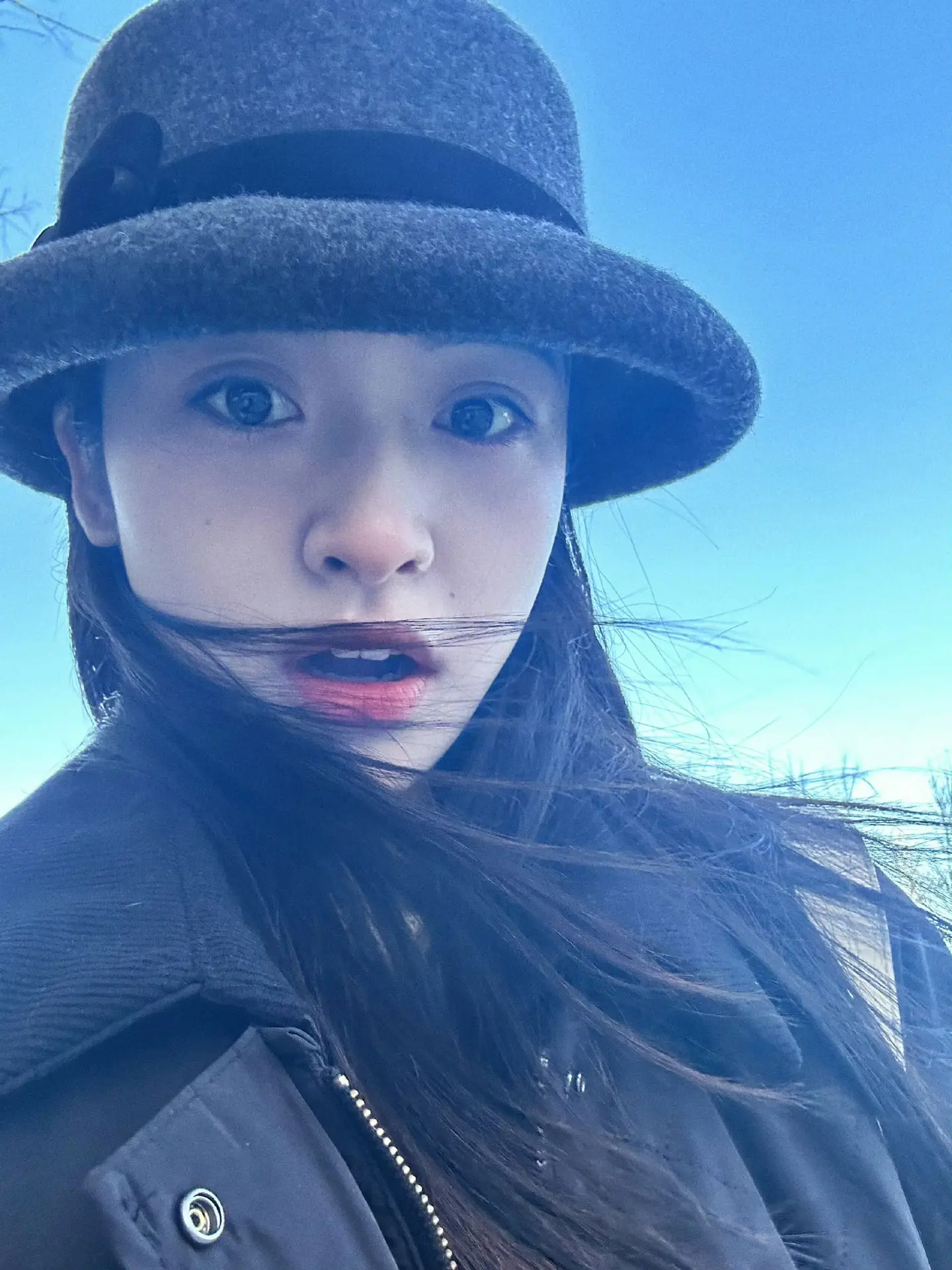 太美了中餐厅9