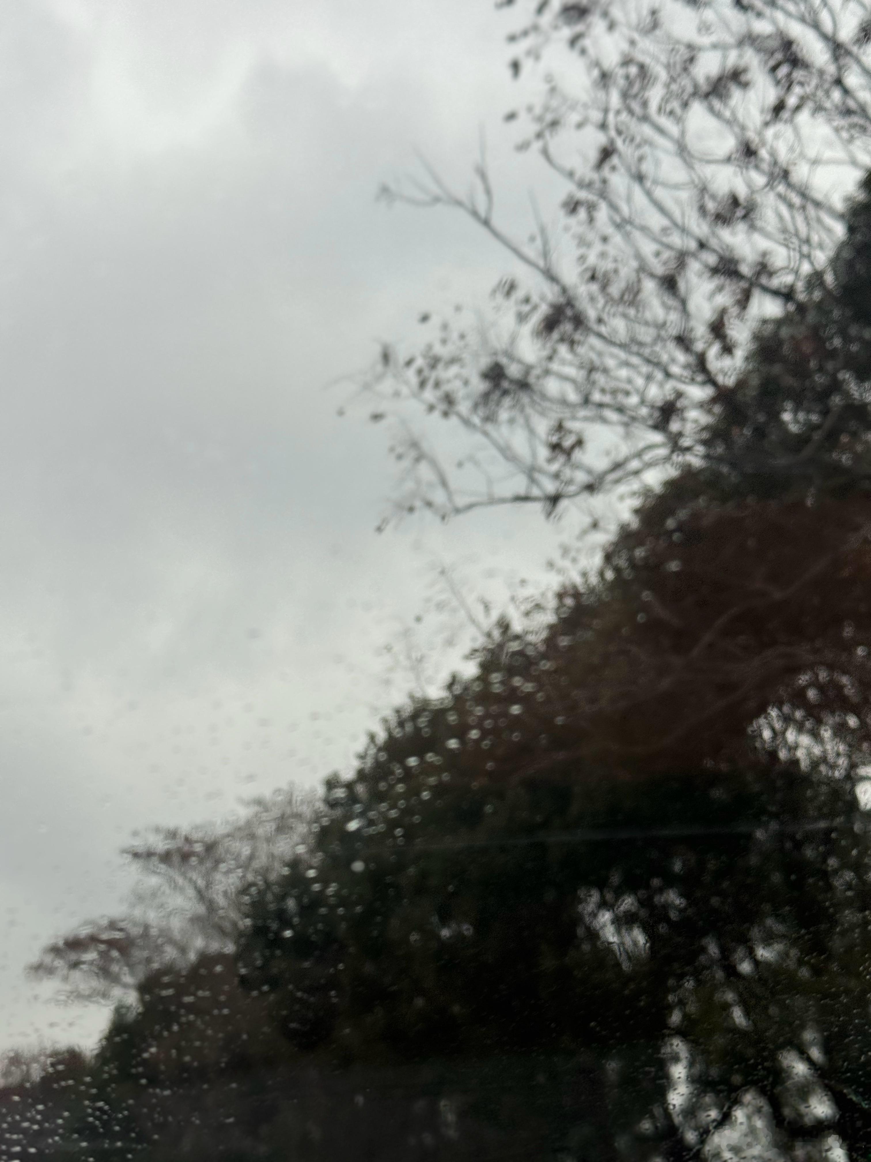 今日份出行搭子享界s9t