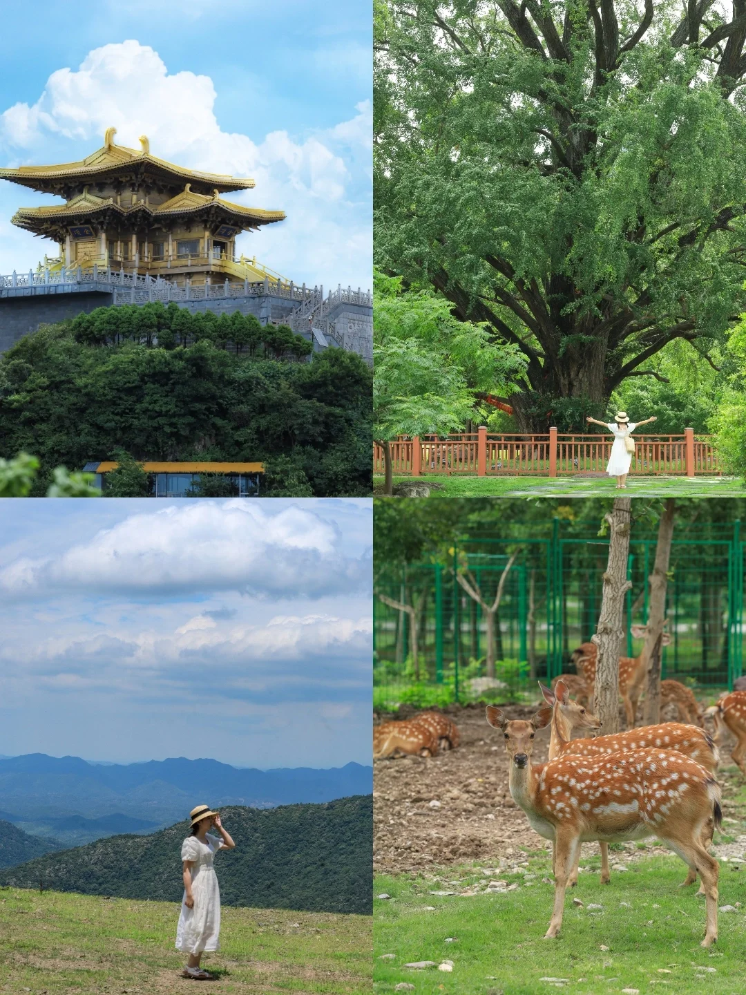 迄今为止❗️武汉周边我最爱的避暑地出现了