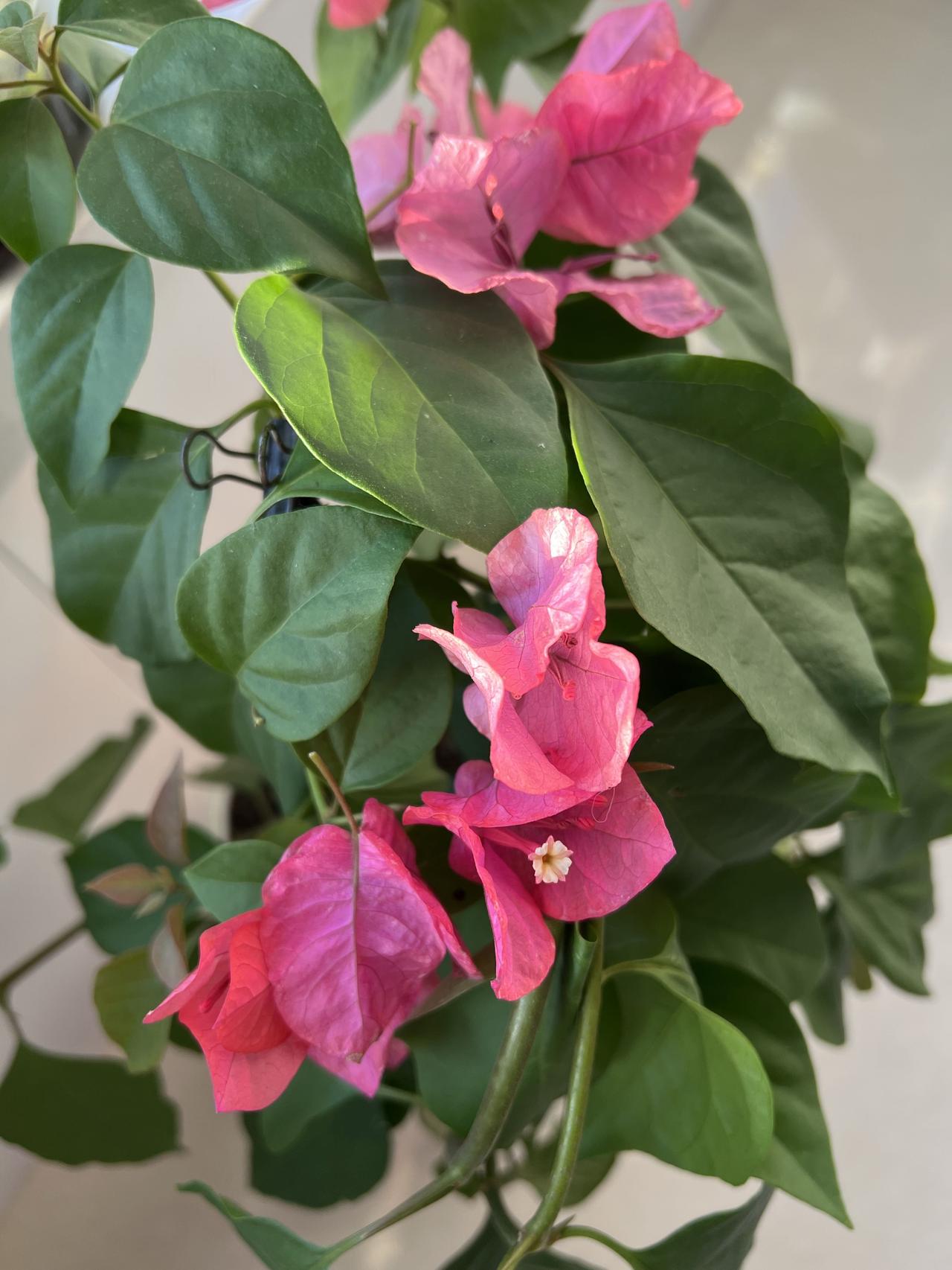 人这一生，

总爱吐槽女人现实的男人，

自己何尝不是活在双重标准里？

嘴上骂