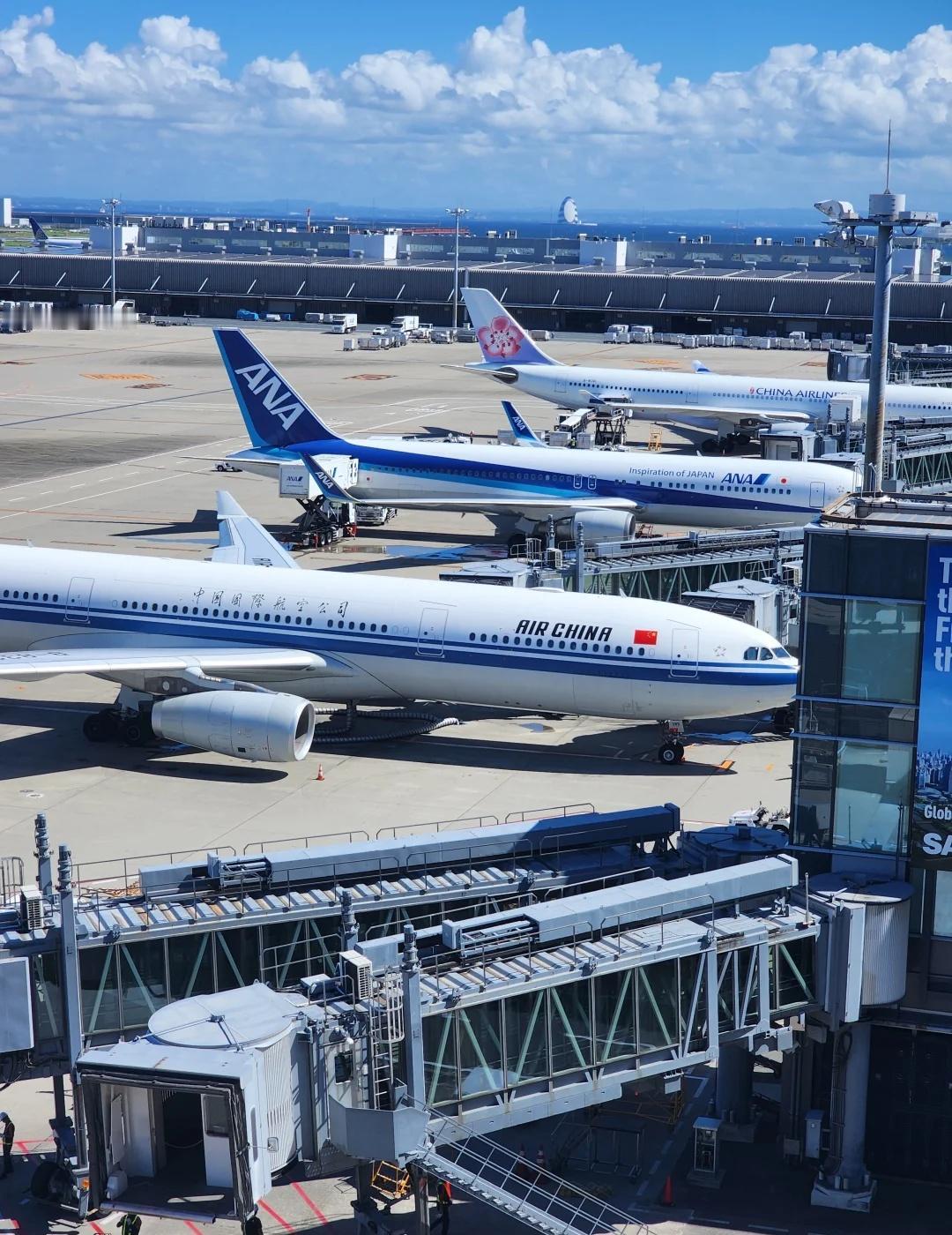 50万张赴日机票取消，接下来继续减航班？
50万张赴日机票取消，到年底的话，大约