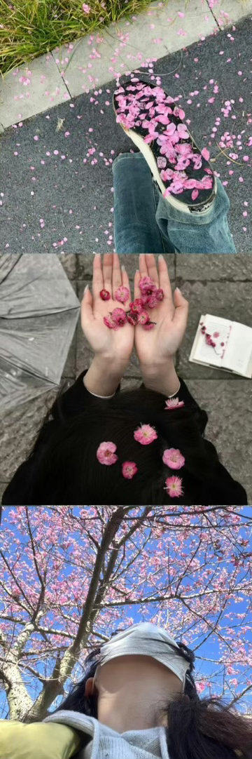 春天拍照姿势我悟了🌸 