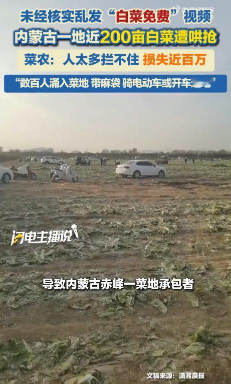 一则谣言，菜农损失近100万！[听歌]

初冬的赤峰郊外，老李站在田埂上看着满地