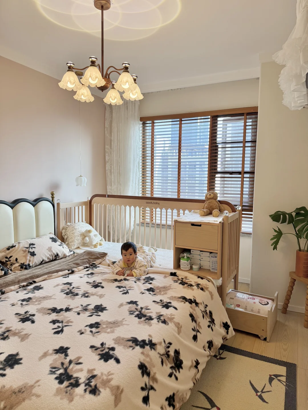 打开后……人怎么聪明成这样！！！