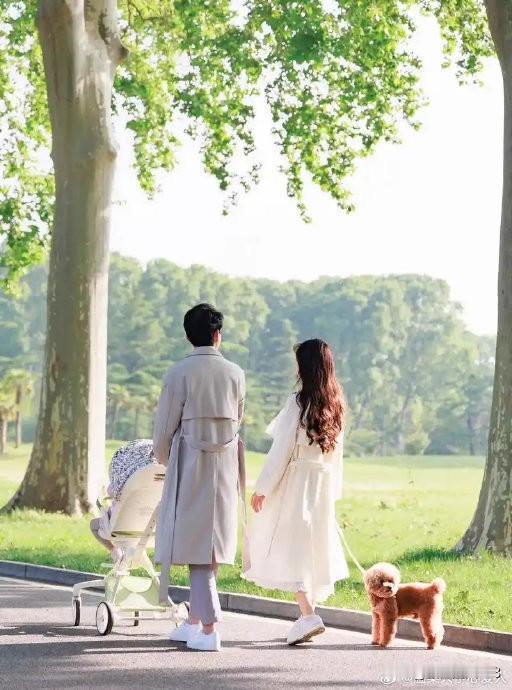 婚姻不是一场浪漫的童话，而是一段漫长的旅程。当激情褪去、柴米油盐成为日常，真正支
