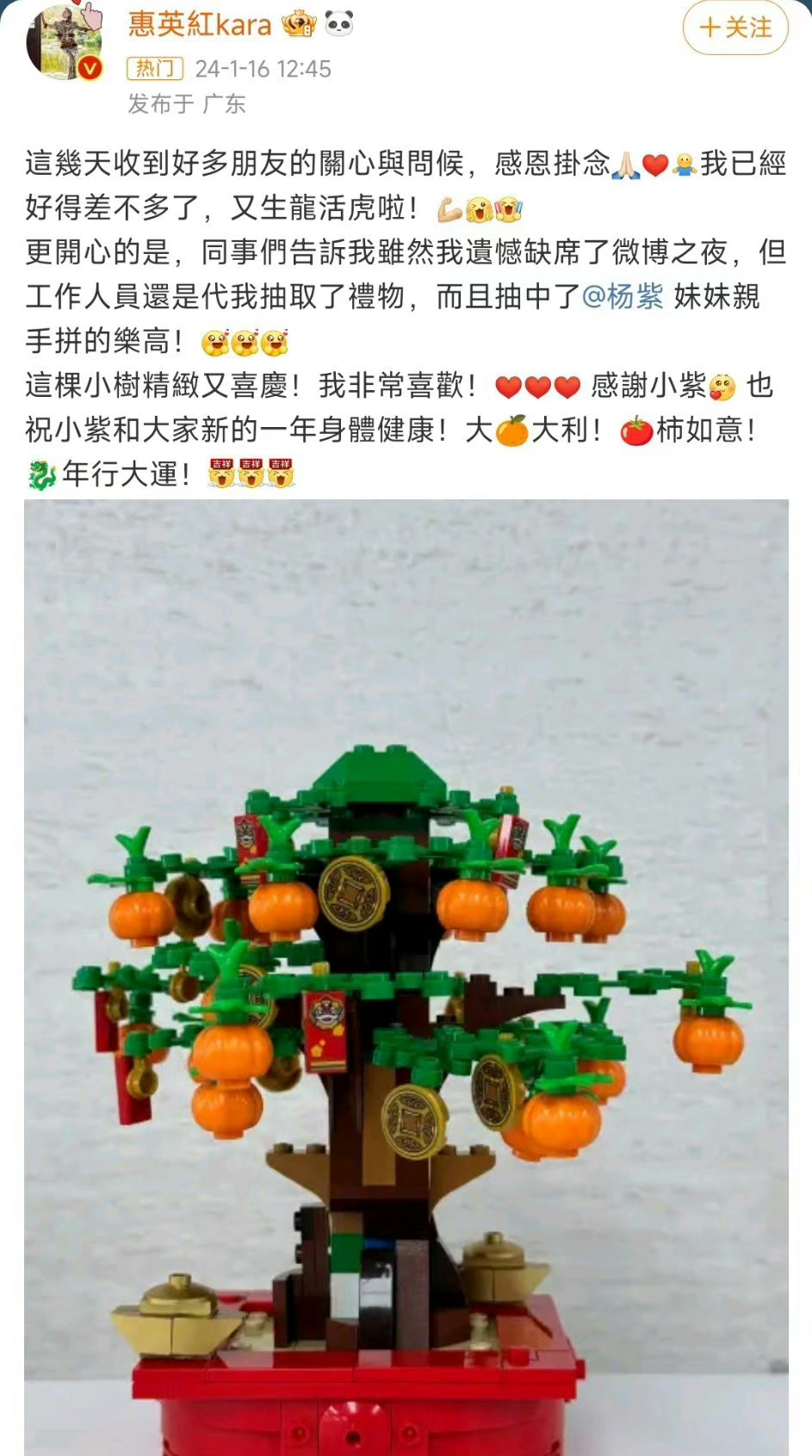 #惠英红抽中杨紫拼的乐高# 哇哦～杨紫亲手拼的乐高好漂亮，寓意也好，看得出来惠英