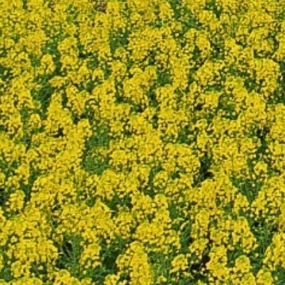 每日一善 阳光信用 ‎每日一善 成功需要勇气和智慧，更需要不断地努力和耐心！ 勇