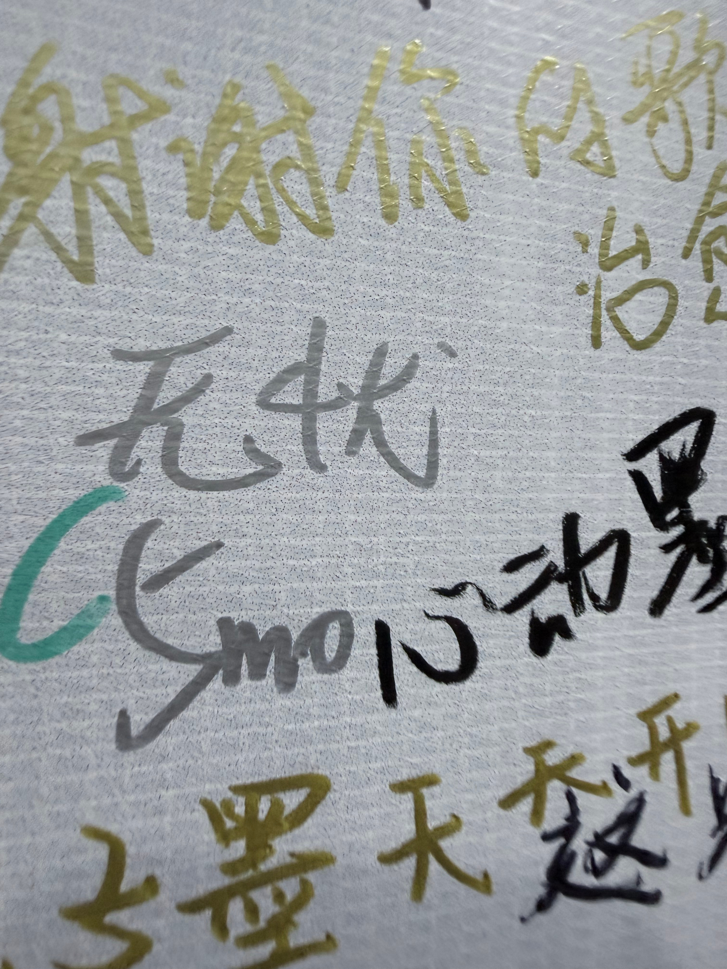 太夸张了 签名墙一次比一次无从下笔了 