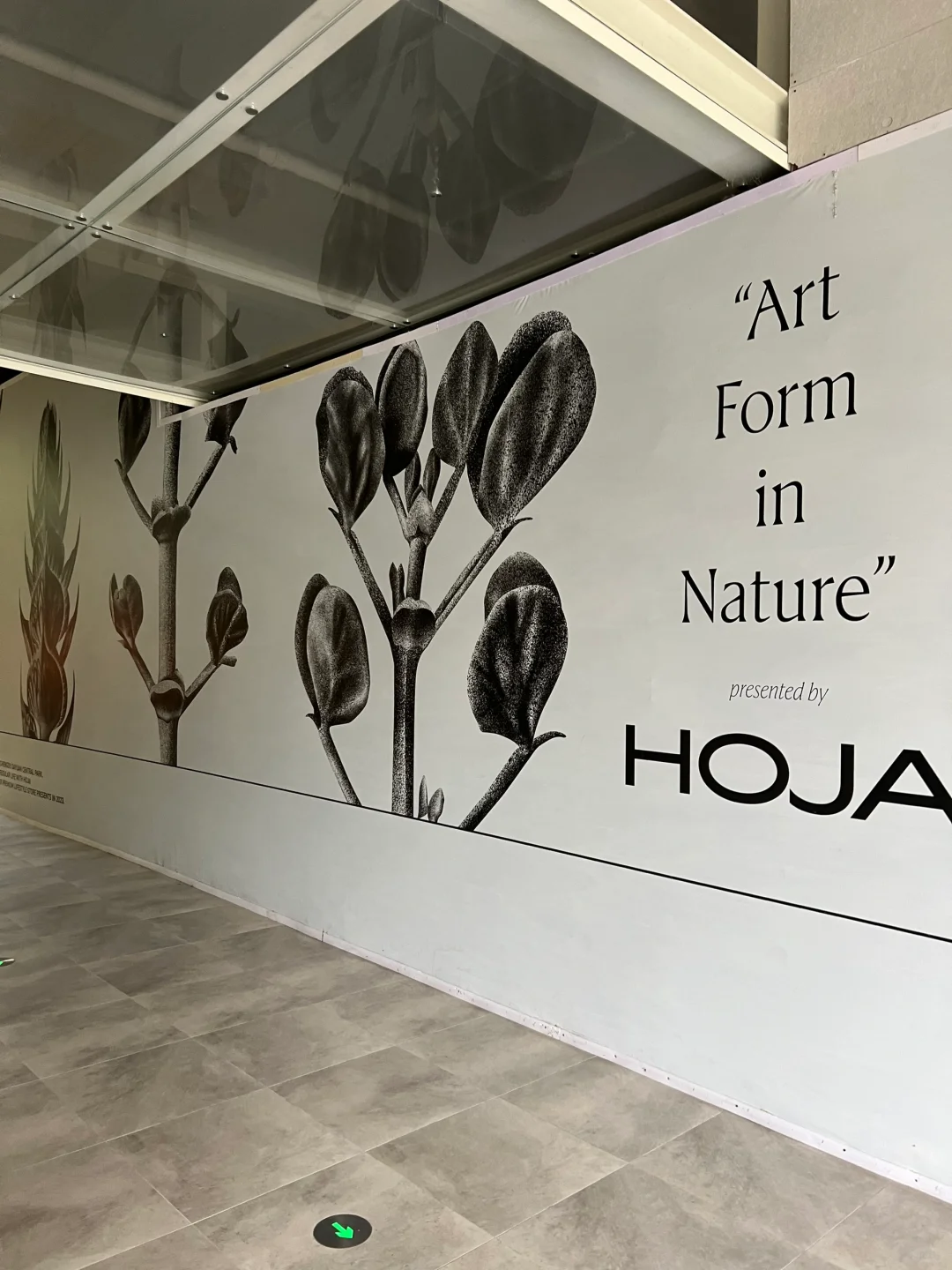 姐姐可以嘛？😏