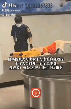 万万没想到！天津，一女子过机场安检时，搜查犬突然盯上她的行李箱，开始疯狂嗅探，工