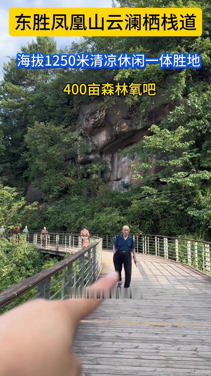东胜凤凰山云澜栖栈道，海拔1250米，清凉休闲一体胜地，400亩森林氧吧。
栈道