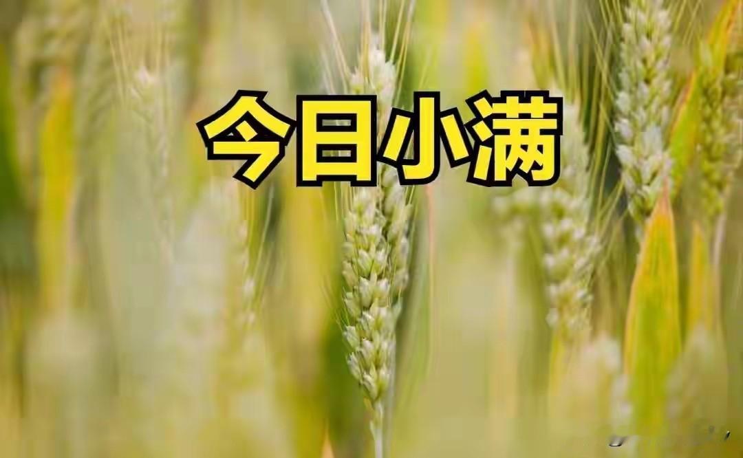 不是迷信！今日小满，白天5禁忌，晚上4注意，别忘了告诉家人
 
今天是小满，麦粒