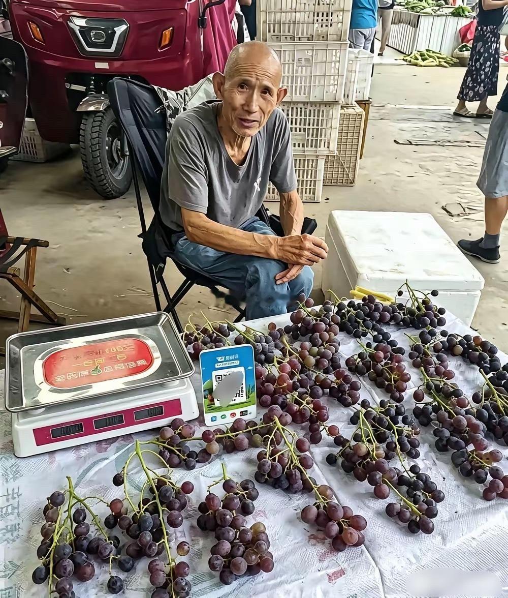 大爷这葡萄不好卖吧？这品相估计都没人上前多瞅一眼！ 