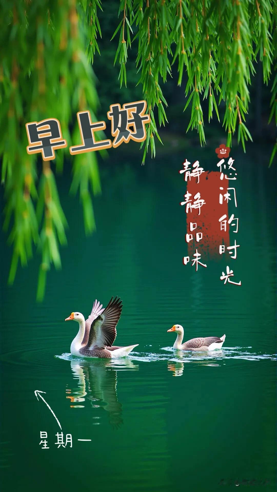 清晨阳光正好，愿日子干净明朗，万事顺意，平安喜乐。