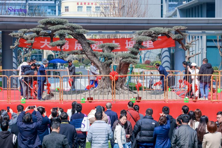 期待10年后涌现9家百亿级企业，植树节上城里·数字时尚产业园开启2026年招商新篇章