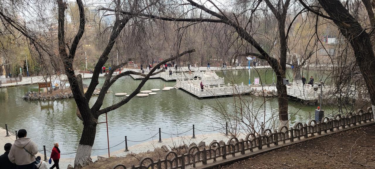 今天早上降温了，但是漫步在五泉山的小湖边，还是感受到了勃发的春意。