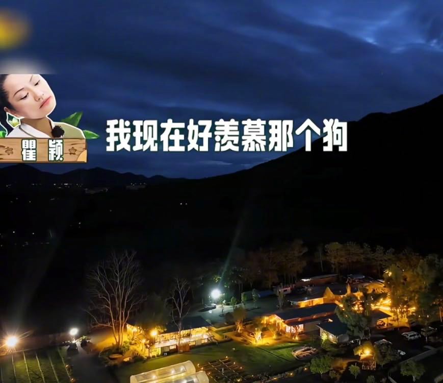 瞿颖又在哪里搞抽象呢瞿颖随地大小演 到底是谁发明的瞿颖！！ 