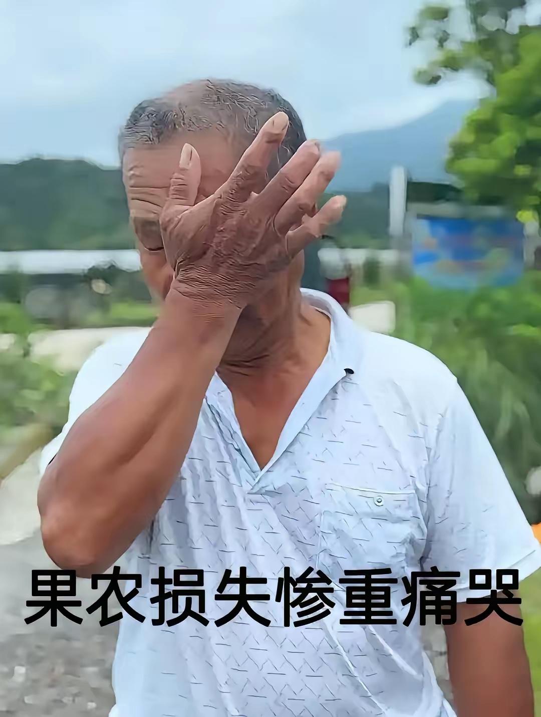 你的眼泪丝毫不值“钱”！
因为你是知道杨梅泡药水的！也许你没有泡，但是外销的杨梅