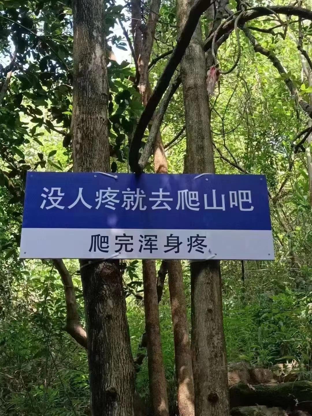 “没人痛，就爬山去吧。爬完浑身痛”[笑cry] ​​​