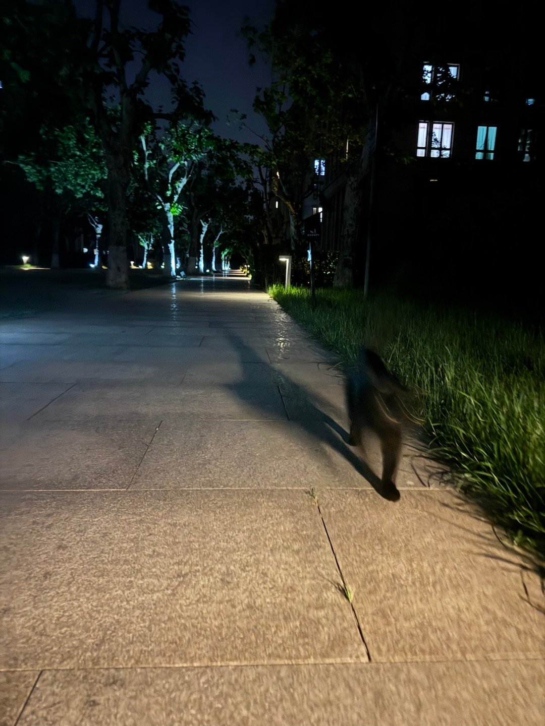 你是觉得我长得像个大耗子吗请问了这位邻居… ​​​