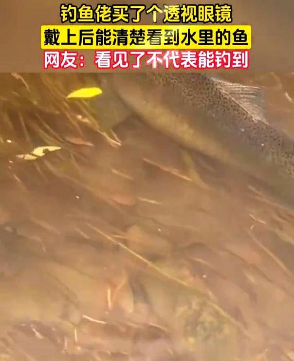 以前钓不到鱼还能怪天气怪水浑，现在连自我安慰的借口都找不到了。
 
有钓友花99