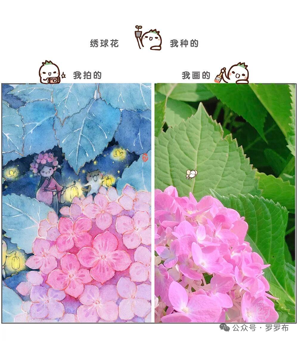 手机随拍成都龙潭水乡古镇