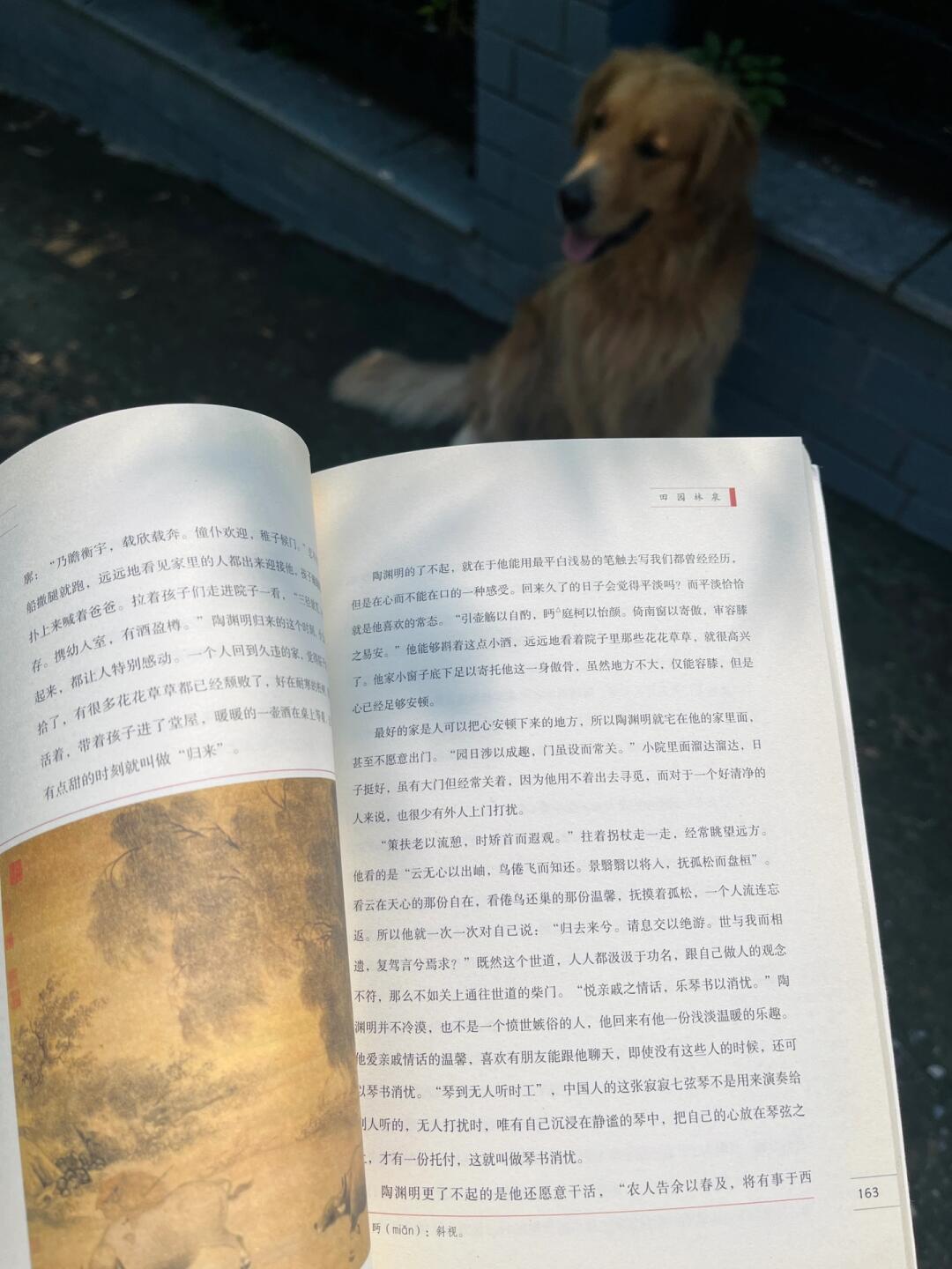 女子养生：像古人一样，睡个甜美的觉。