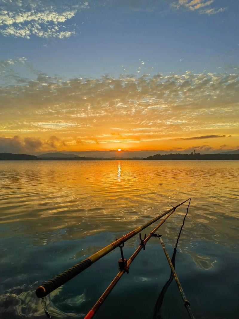 晚霞染红天际，蝉鸣伴着盛夏，点点萤火漫入夜晚，把夏日独有的浪漫尽数铺展开来。[微