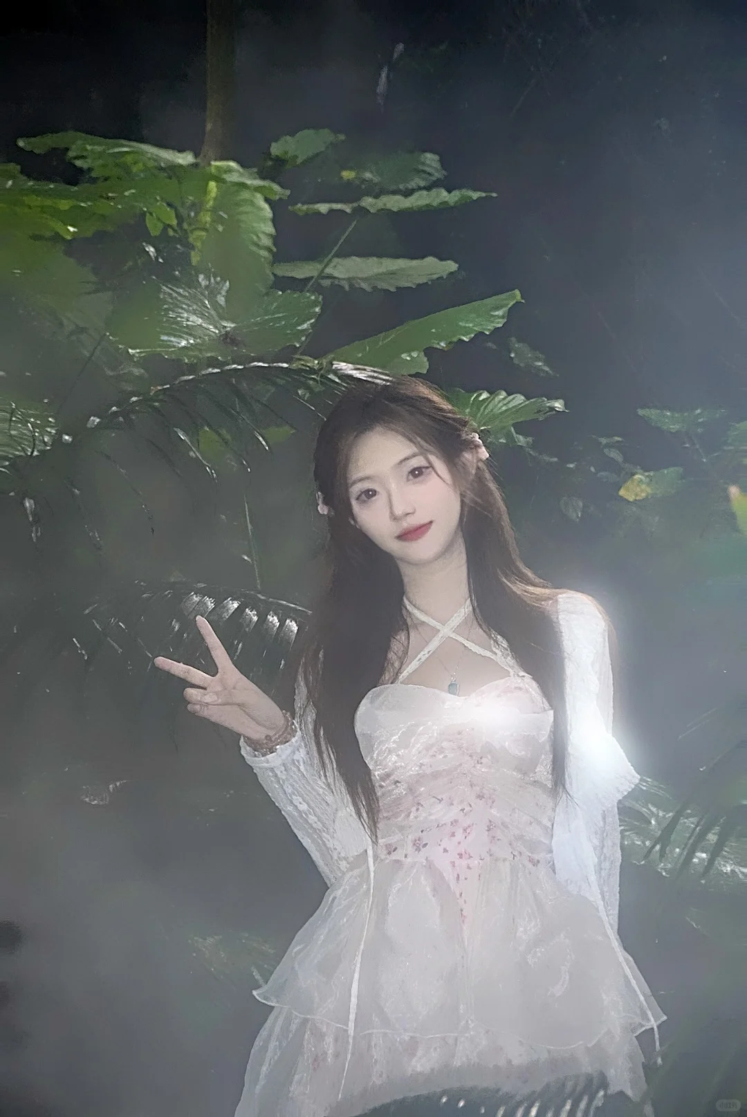 雨林～