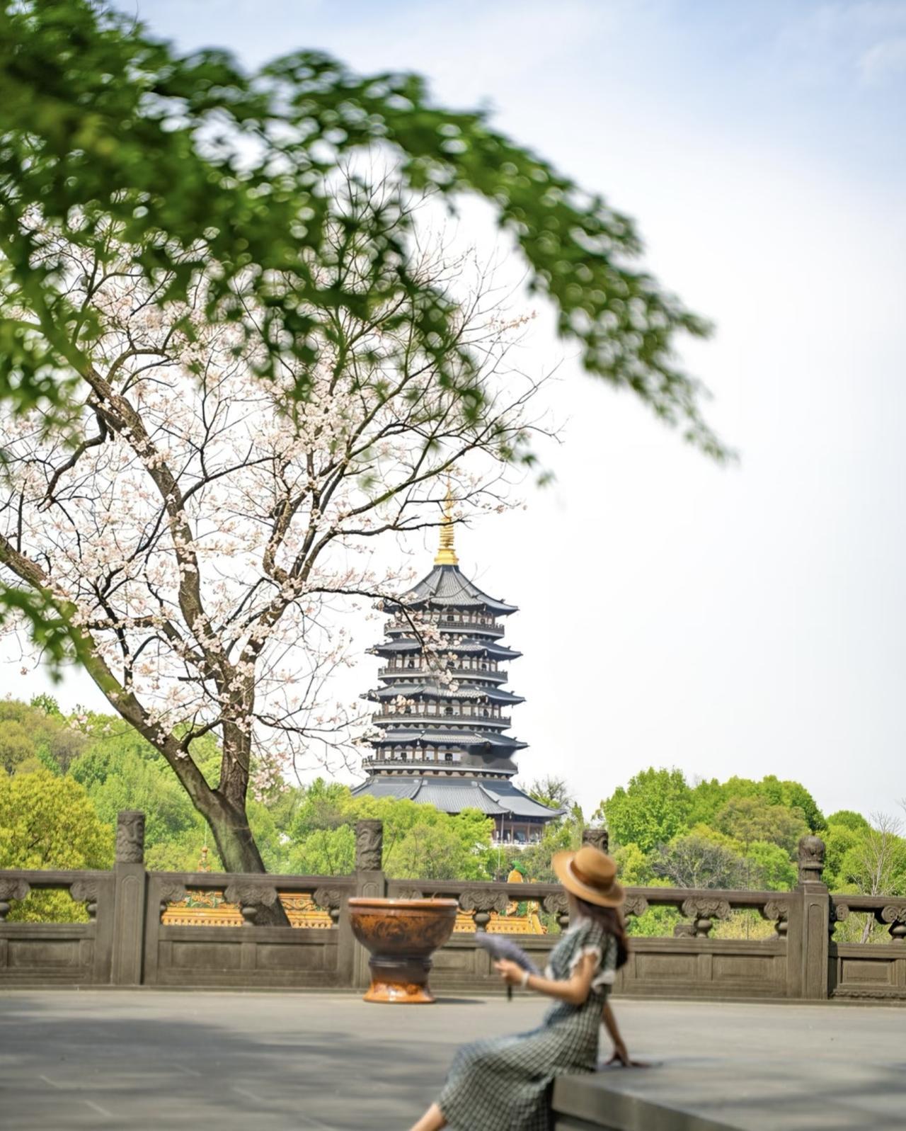 随手拍张照春日野望，绿叶伴随着古塔。