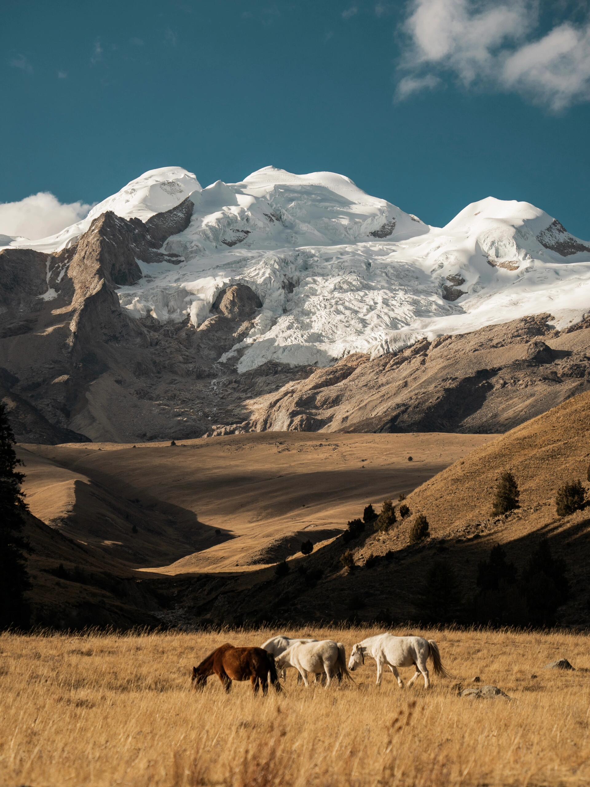 #晨璐未晞娱乐有限公司[超话]# “杀死我的那座山 帮我摘掉了载了一辈子的包袱 