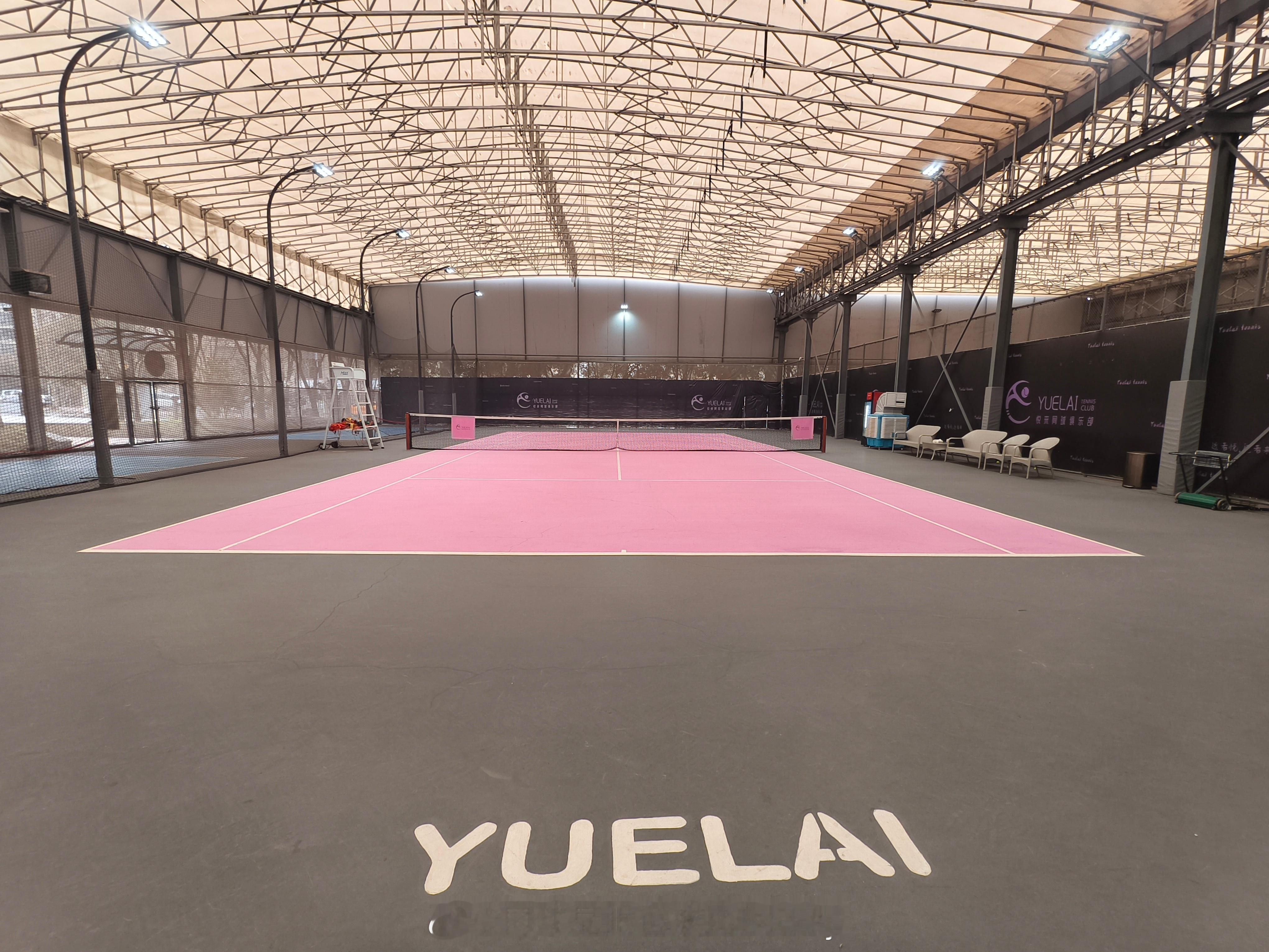 马年第一场球🎾，马上赢球波比的网球世界网球网球显眼包波比Bobby 重庆·悦来