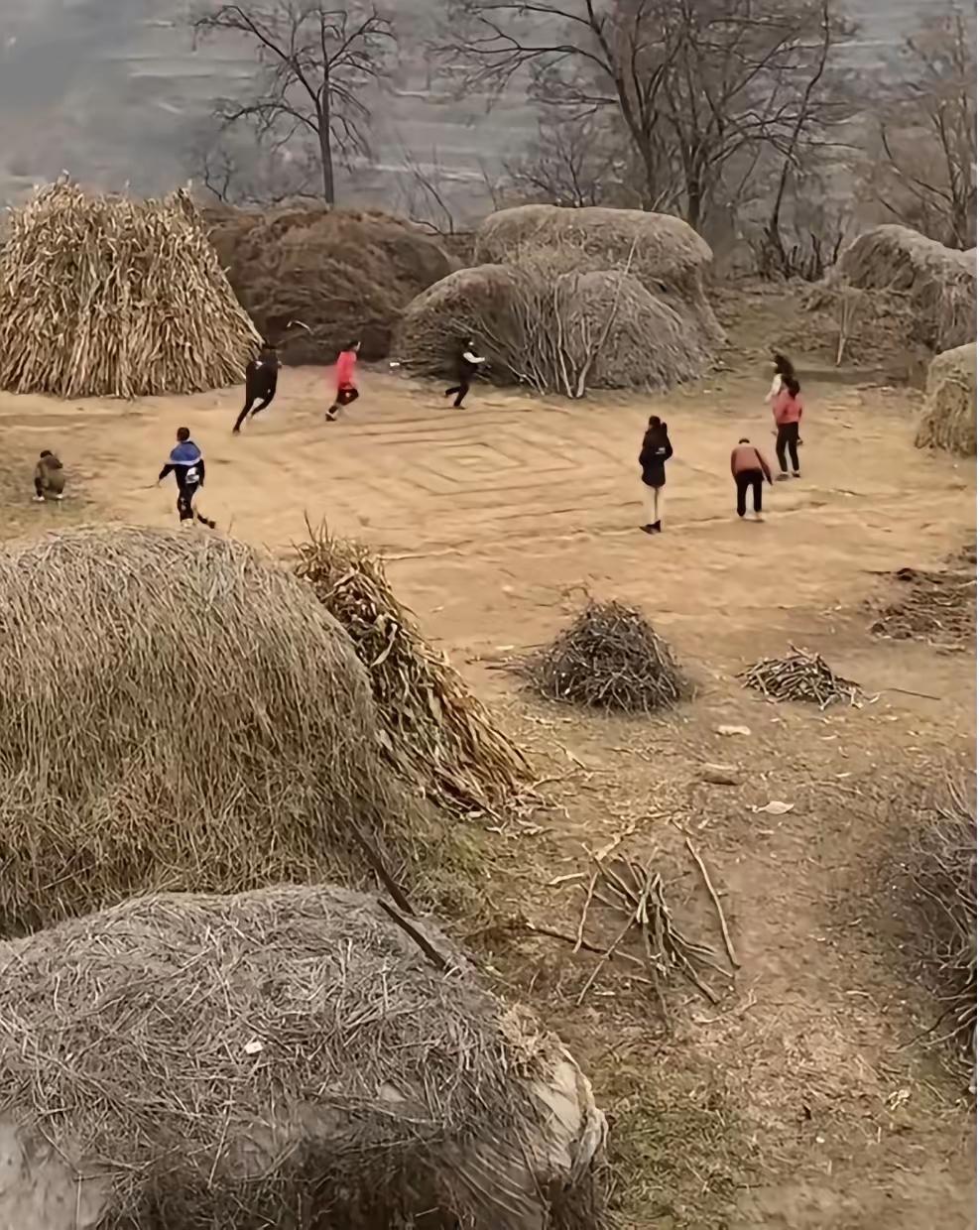 瞬间破防！只要占过这十几样童年往事，妥妥就是有年代感的过来人了。
 
割麦碾场、