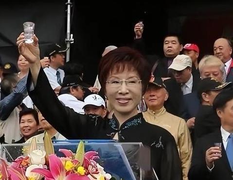 洪秀柱在接受媒体采访时抛出一句极具分量的话：“如果台湾不是大陆的领土，清朝怎么能