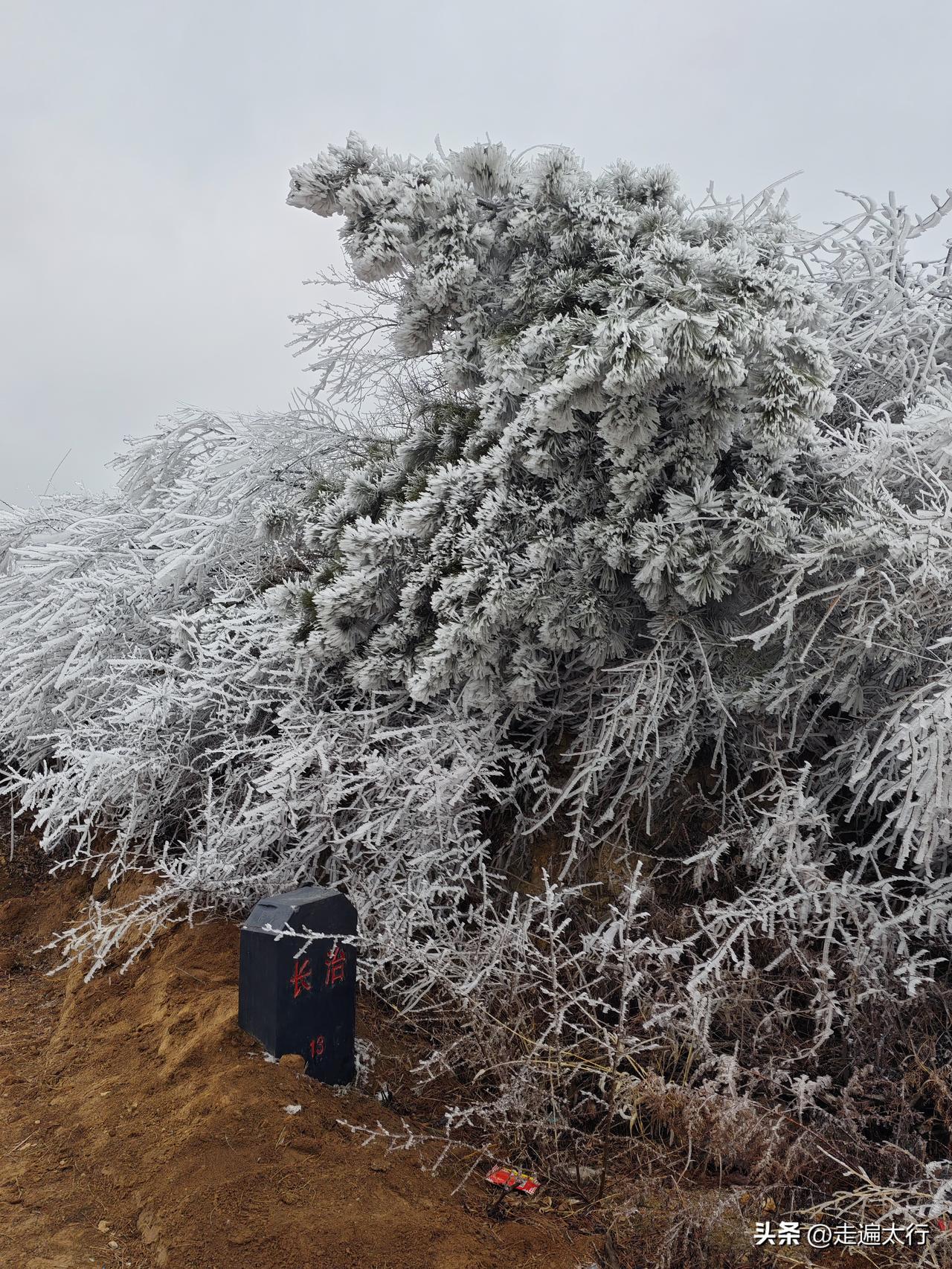 南太行迎来冰挂的最佳观赏期。预计2月28-3月5日期间，南太行海拔1500-17