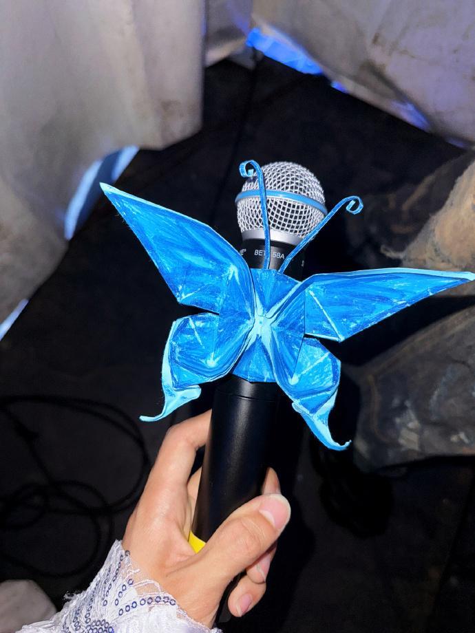 #赵小童油画棒装点的蝴蝶定制麦##赵小童拥有了蝴蝶定制麦#赵小童的定制麦因油画棒