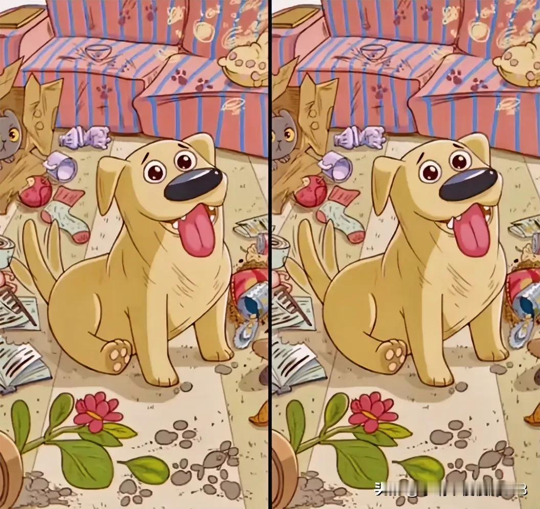 犬儿卧，猫儿闹
考眼力
找找有5处不同[灵光一闪]
