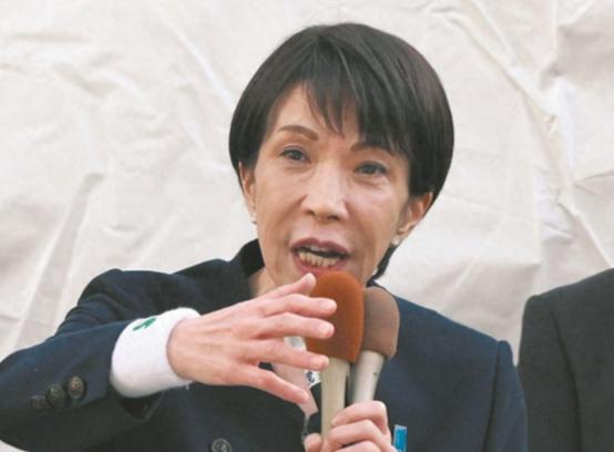 中方全面断供开始，高市真慌了，岸田文雄重新出山，30国代表赴日

高市早苗内阁上