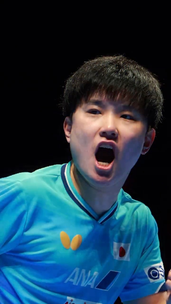 张本智和张本智和 2026.4.23乒乓球日快乐cr. pinkpongpict