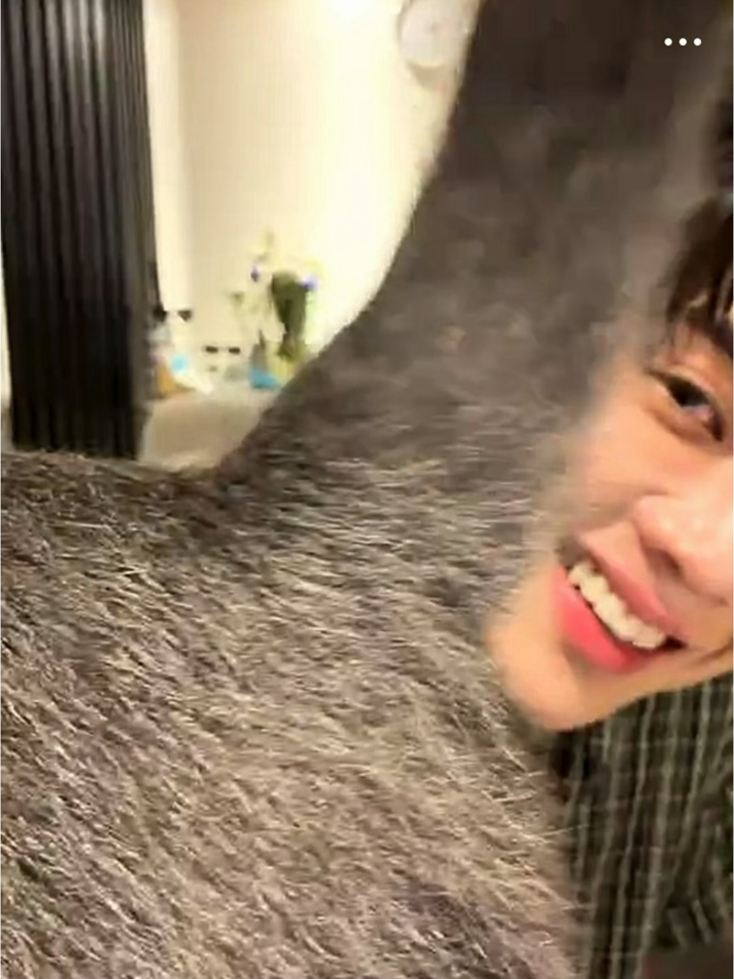被三植的尾巴挡到就这样露出半张帅脸🥺 