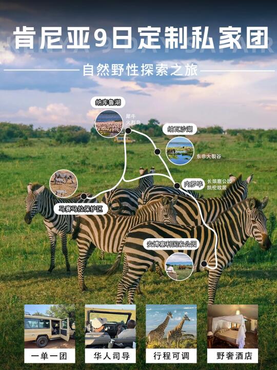 草原大迁徙提前锁定/探秘肯尼亚动物王国