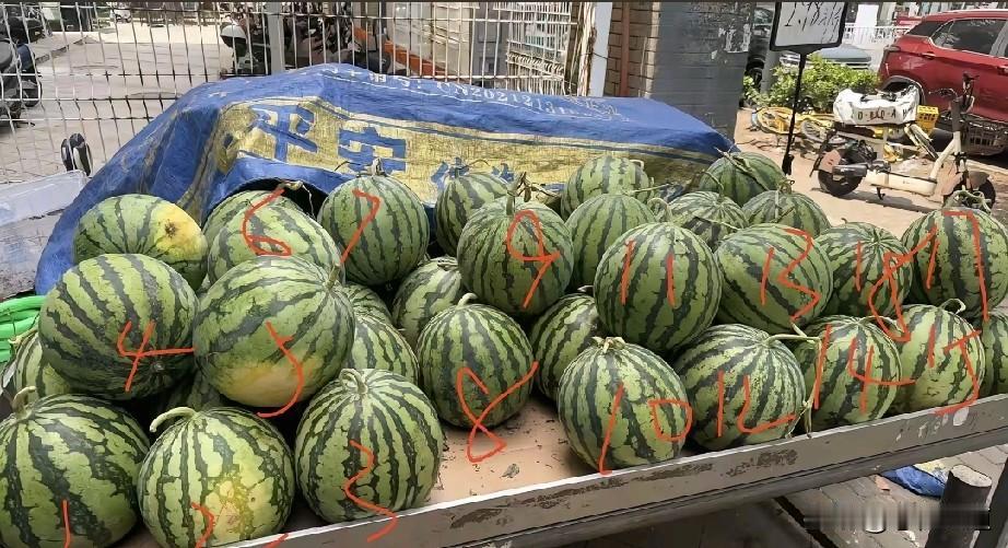 千万不要相信网上所谓的挑西瓜教程，江苏省本身就是西瓜种植大省，我吃了半辈子西瓜还