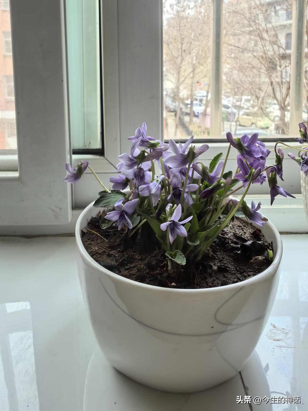 退休后你会选择自驾游吗?
退休后你会选择自驾游吗？我的答案是：会的。
其一，我喜