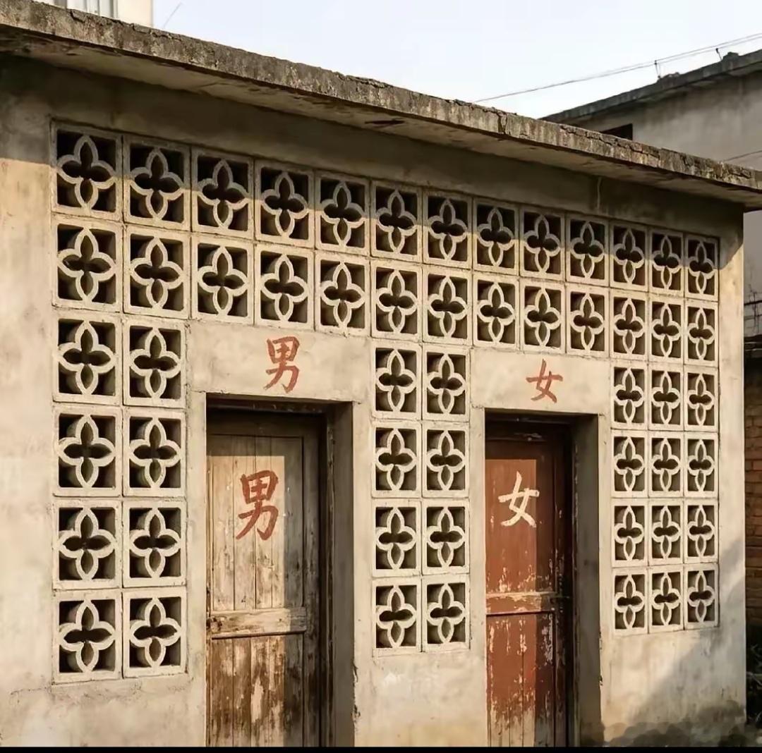 建议LV先告一下全国的老公厕，这花砖遍地都是，专利费收到手软。 