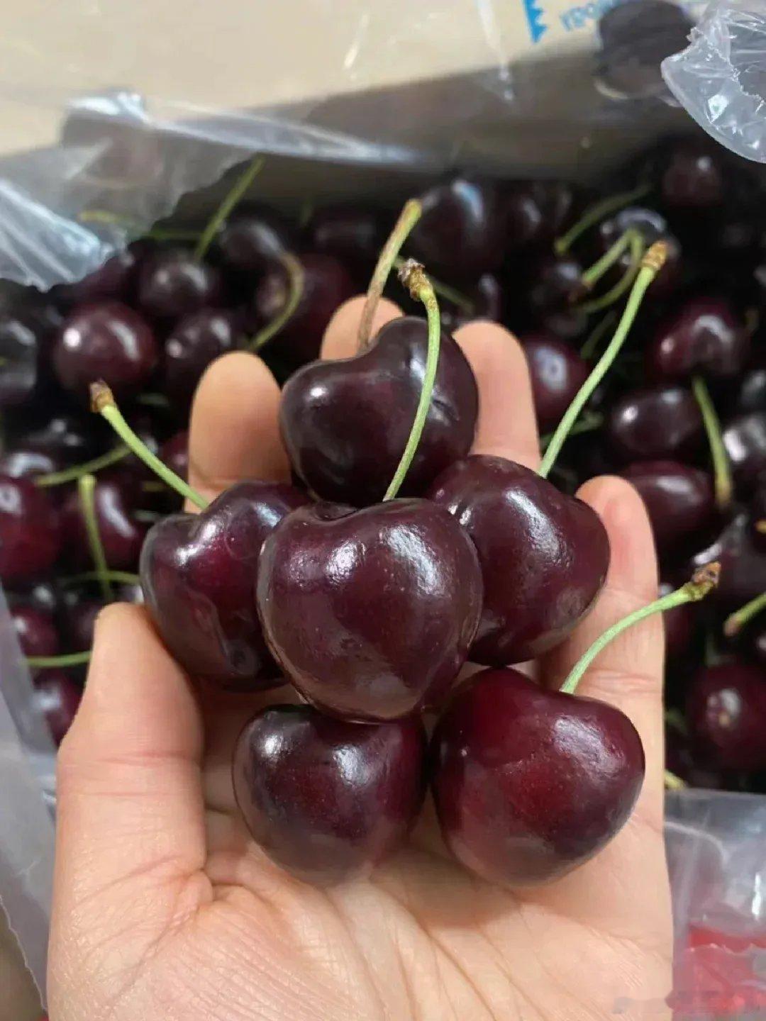 车厘子300多一箱的你可以说它不易多吃还贵，100多一箱你根本拦不住我一天炫光