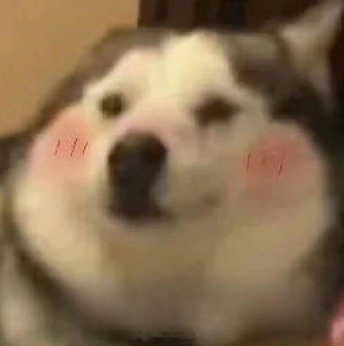 杭州人的年货有着落了 快来杭州市的年货大集市，逛遍商场和广场，从年货商品到美味小