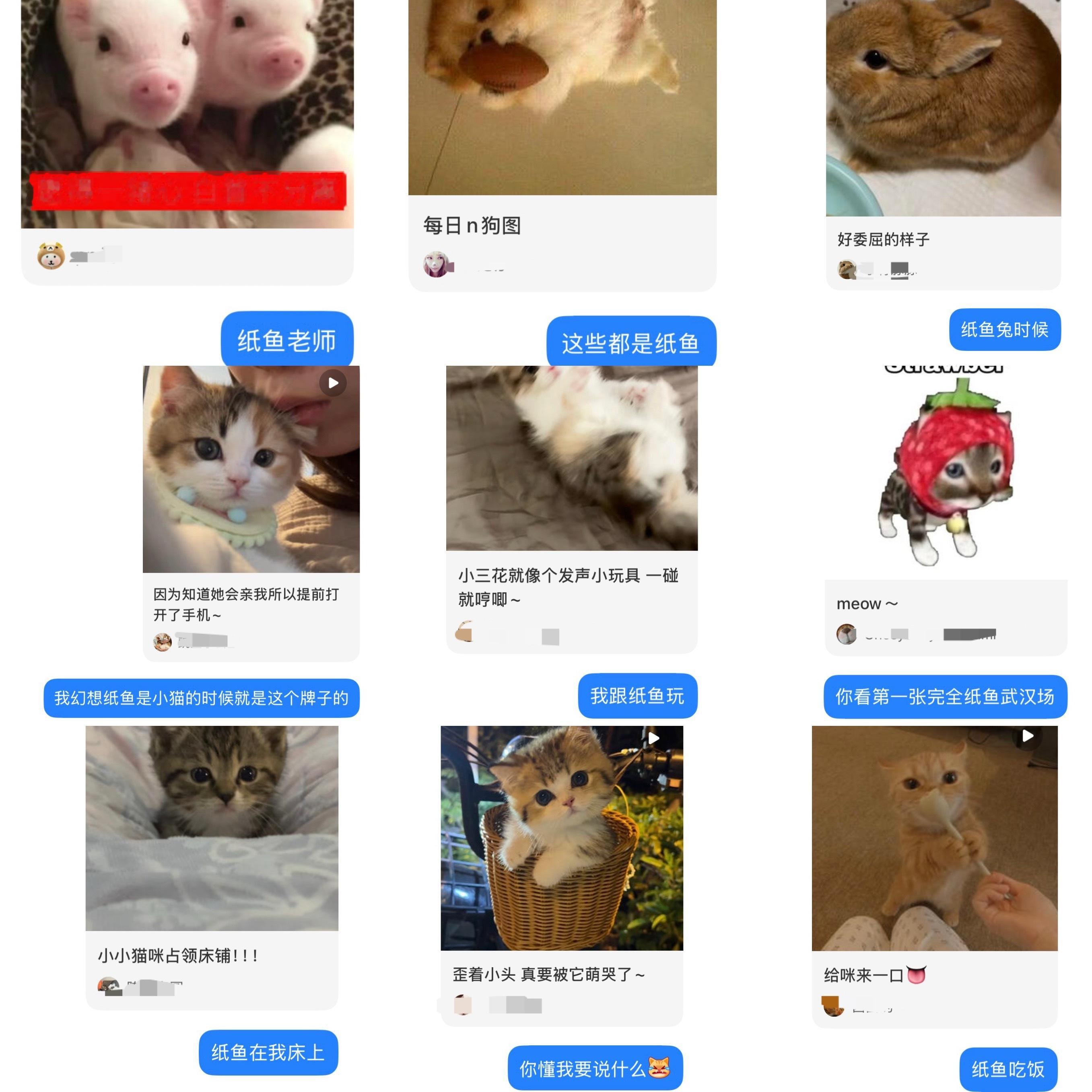 卧槽了感觉我要疯 
